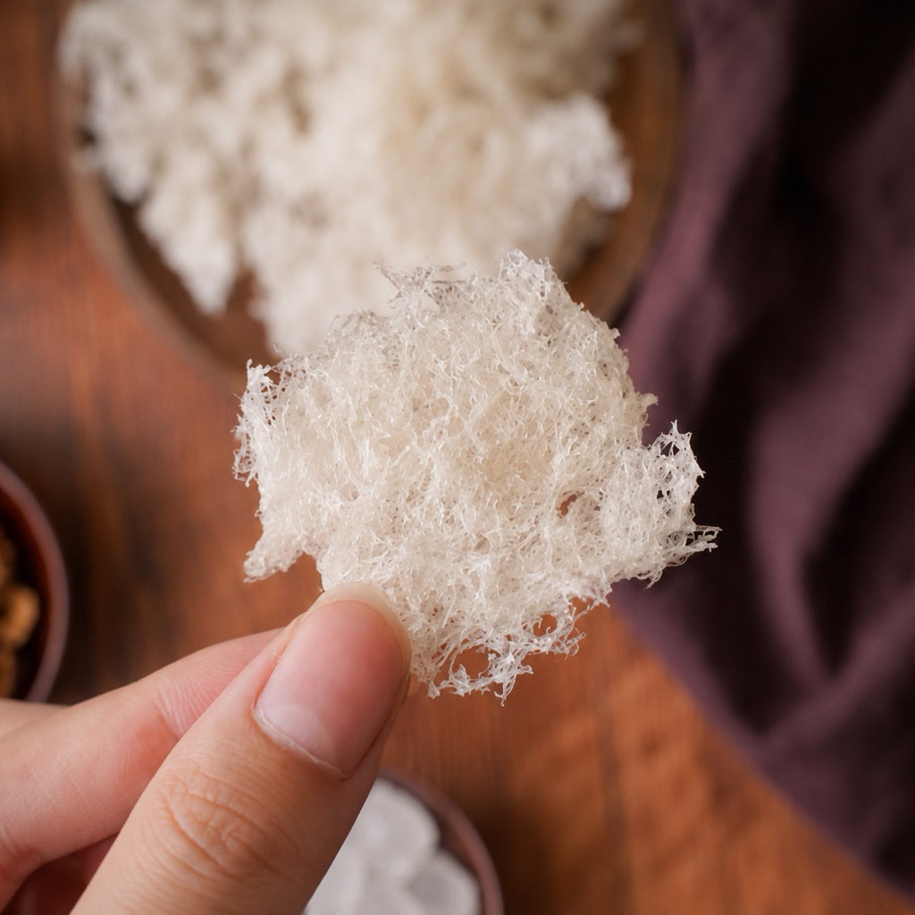 EverNest Premium Shredded Bird’s Nest